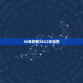 56年的猴2022年运势，1956年属猴在2022年怎么样