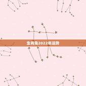 生肖兔2022年运势，2022年属兔运势女性