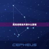 属龙结婚当天放什么属相，属兔的婚配禁忌是什么？