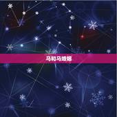 马和马婚姻，属马和属马是什么样的婚姻