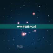 1959年出生什么命，1981年出生什么命