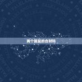 两个属鼠的合财吗，1996年属鼠人姻缘方向