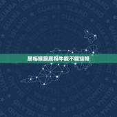 属相猴跟属相牛能不能结婚，属牛的和属猴的结婚好吗属猴的属牛的 在一起好