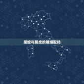 属蛇与属虎的婚姻配吗，属虎和属蛇的婚姻怎么样