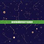 鼠和兔相配吗会不会相冲，男鼠女兔其实很好