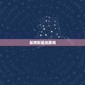 鼠婚配最佳属相，属鼠最合适的婚配