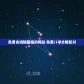 免费合婚姻最准的网站 免费八字合婚配对