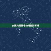 女属鸡男属牛的婚配好不好，男鼠女蛇婚配好不好