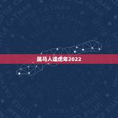 属马人逢虎年2022，属马人逢虎年