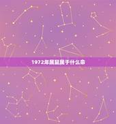 1972年属鼠属于什么命，1981年属鸡的属于什么命