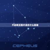 不动明王图片适合什么属相，不动明王保佑什么生肖