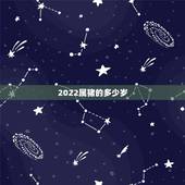 2022属猪的多少岁，2022年生肖猪运势完整版