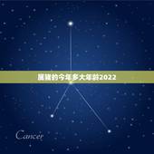 属猪的今年多大年龄2022，2029年属猪的人多大了
