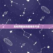 龙和鸡朋友的属相合不合，龙和鸡相配吗？