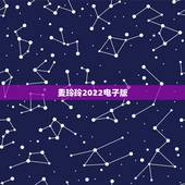 麦玲玲2022电子版，2022 麦玲玲十二生肖详解