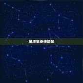 属虎男更佳婚配，属虎的婚姻配对更佳