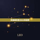 双鱼座未来2022年运势，双鱼座男的将来运势