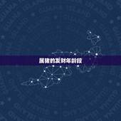 属猪的发财年龄段，属猪多大年龄