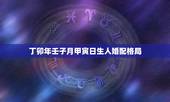 丁卯年壬子月甲寅日生人婚配格局，农历二月十九日甲寅年 丁卯月 壬子日