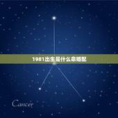 1981出生是什么命婚配，1981年出生的属鸡女，石榴木命，最佳配偶是