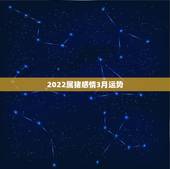 2022属猪感情3月运势，2022属猪人的全年运势如何