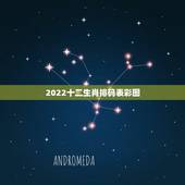 2022十二生肖排码表彩图，2022 最新版正版生肖排码表图