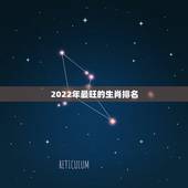 2022年最旺的生肖排名，2022犯太岁的生肖