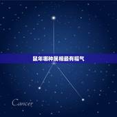 鼠年哪种属相最有福气，（鼠）有哪些生肖号码