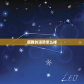 属猴的运势怎么样，属狗运势2022 年运势详解