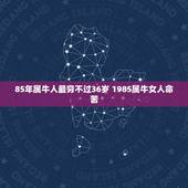 85年属牛人最穷不过36岁 1985属牛女人命苦