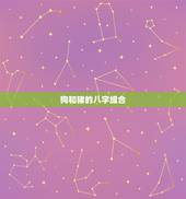 八字算命狗和猪相配吗(如何看待狗猪组合的姻缘)