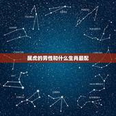 属虎的男性和什么生肖最配，男虎和什么属相最配对