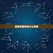 属猪的最忌讳什么属相，属猪的相克的属相是什么