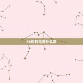 66年的马是什么命，女龙男蛇在一起旺夫吗