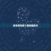 属兔男和哪个属相最配对，兔男和什么属相最合适