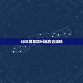 88年属龙和94属狗合婚吗，属龙和属兔的合不合