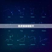 龙虎姻缘相配不，生肖龙和虎相配吗？