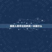 属蛇人命中注定的另一半属什么，巳年生的人属什么