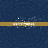 属兔今日下午麻将运势，属兔今天打麻将能赢吗？