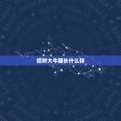 招财大牛猫长什么样，公众号很多自媒体操盘手在推荐利弗莫尔证券，最近招财