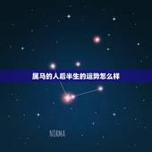 属马的人后半生的运势怎么样，属马的人一生的命运是怎么样的