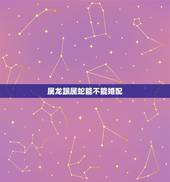 属龙跟属蛇能不能婚配，属龙和属蛇婚配怎么样