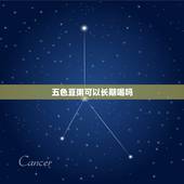 五色豆粥可以长期喝吗，天天吃豆类粥好吗