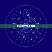 蛇与哪个生肖相冲，属相牛和什么属相犯冲