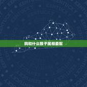 狗和什么猴子属相最配，狗猴属相般配吗？