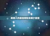 属猪人的最佳婚配是哪个属相，属相婚配表之属猪的和什么属相最配