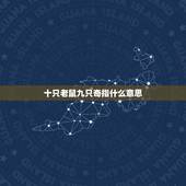 十只老鼠九只奇指什么意思，定有不吉是什么生肖