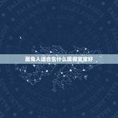 属兔人适合生什么属相宝宝好，我是属兔的我老婆属兔，鼠年生宝宝几月份出生