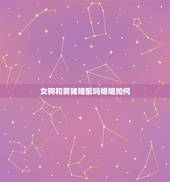 女狗和男猪婚配吗婚姻如何，男猪女狗婚姻是否相配