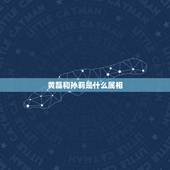 黄磊和孙莉是什么属相，黄磊属什么生肖的
